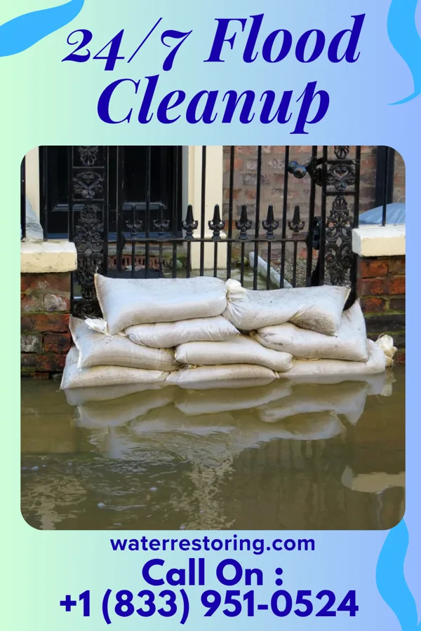 24/7 Flood Cleanup in Lake Petersburg, IL