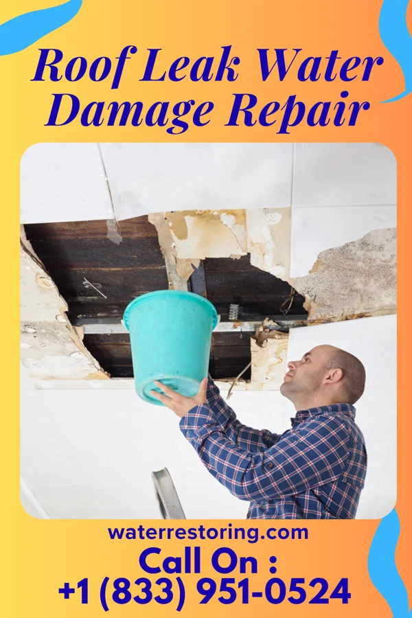 Roof Leak Water Damage Repair in Lake Petersburg, IL