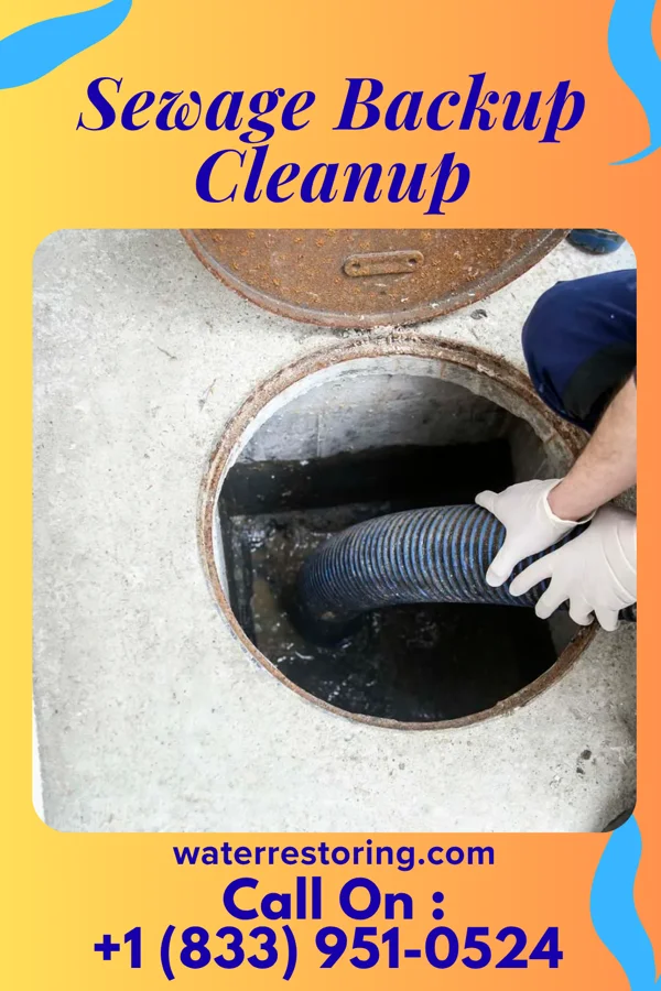Sewage Backup Cleanup in Lake Petersburg, IL