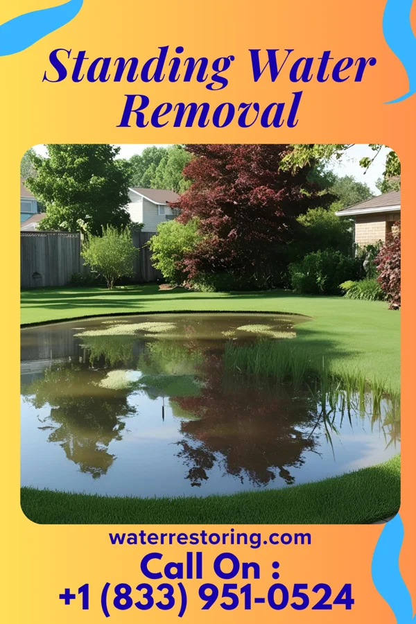 Standing Water Removal in Lake Petersburg, IL